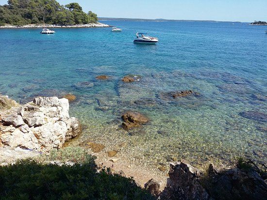 Parco forestale Punta Corrente